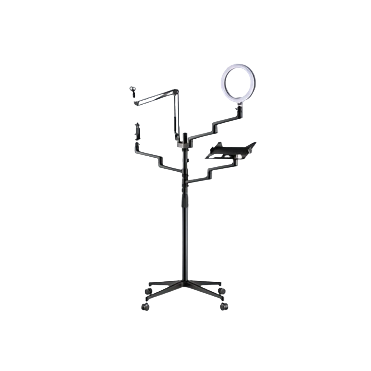 Estudio Multisoportes Pedestal