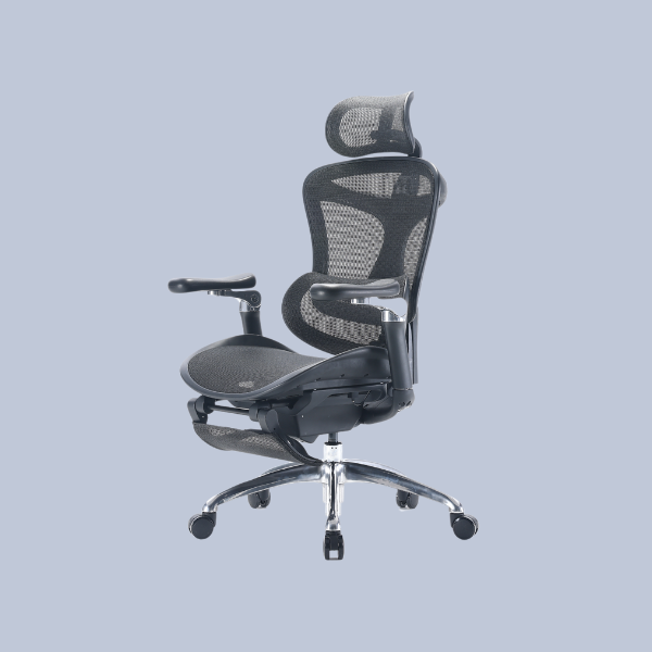 Silla Ergonómica Ergosmart
