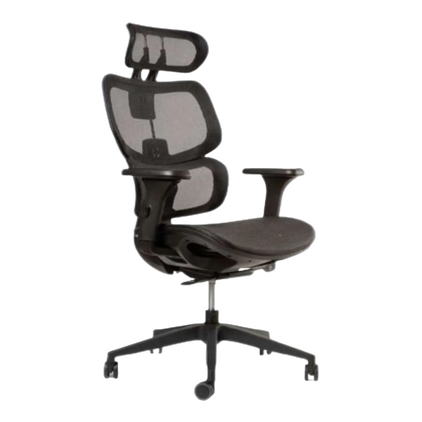 Silla Ergonómica Ergoplus